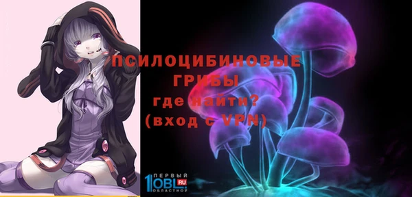 гашик Волоколамск