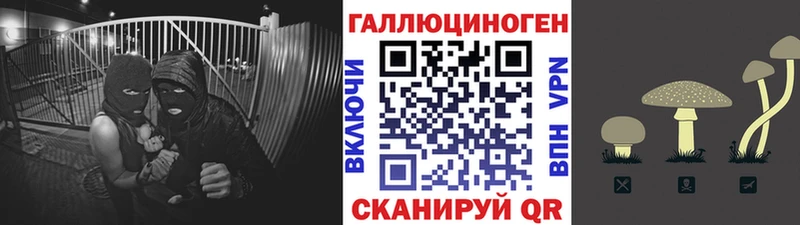 Псилоцибиновые грибы прущие грибы  Купить  Краснокаменск 
